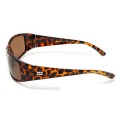Ray Ban Rb2515 Active Tortoise-Gradient Brown