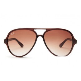 Ray Ban Rb4125 Cats 5000 Brown-Clear Brown Gradient