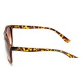 Ray Ban Rb4170 Cats 5000 Tortoise-Brown Gradient