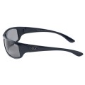 Ray Ban Rb4176 Active Black-Silver